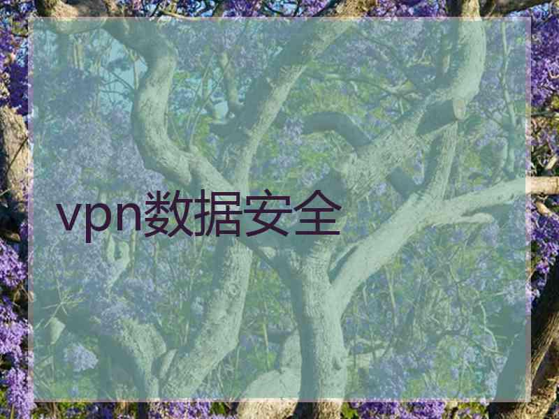 vpn数据安全