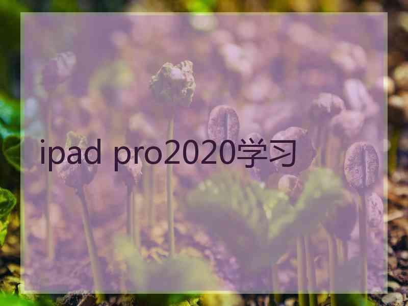 ipad pro2020学习