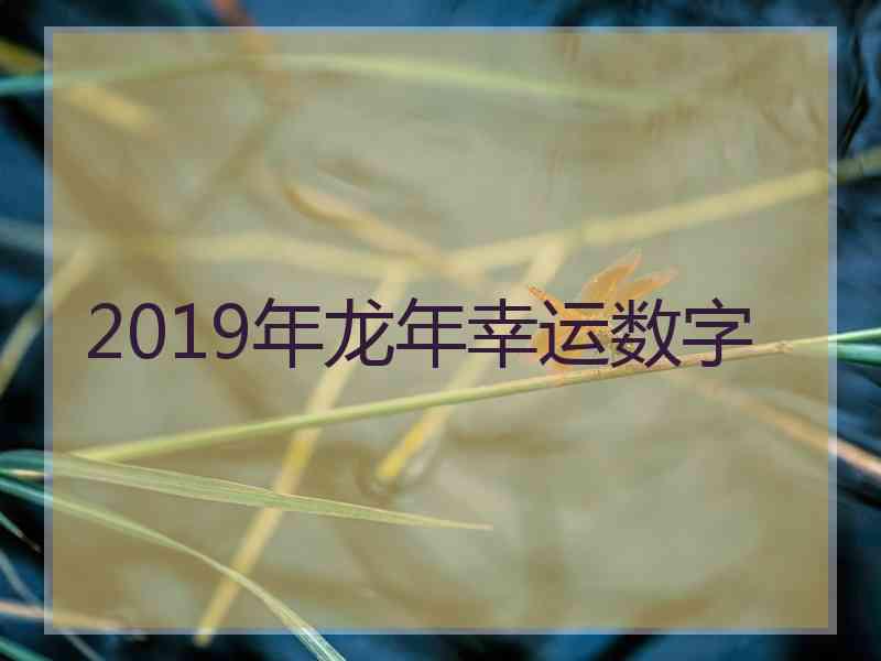 2019年龙年幸运数字