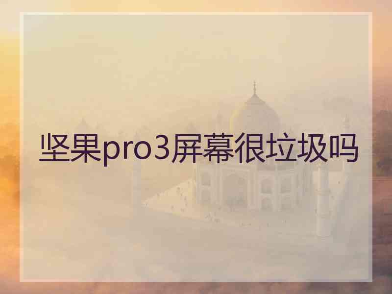 坚果pro3屏幕很垃圾吗