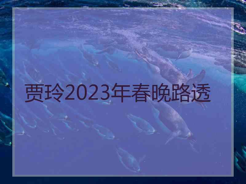 贾玲2023年春晚路透