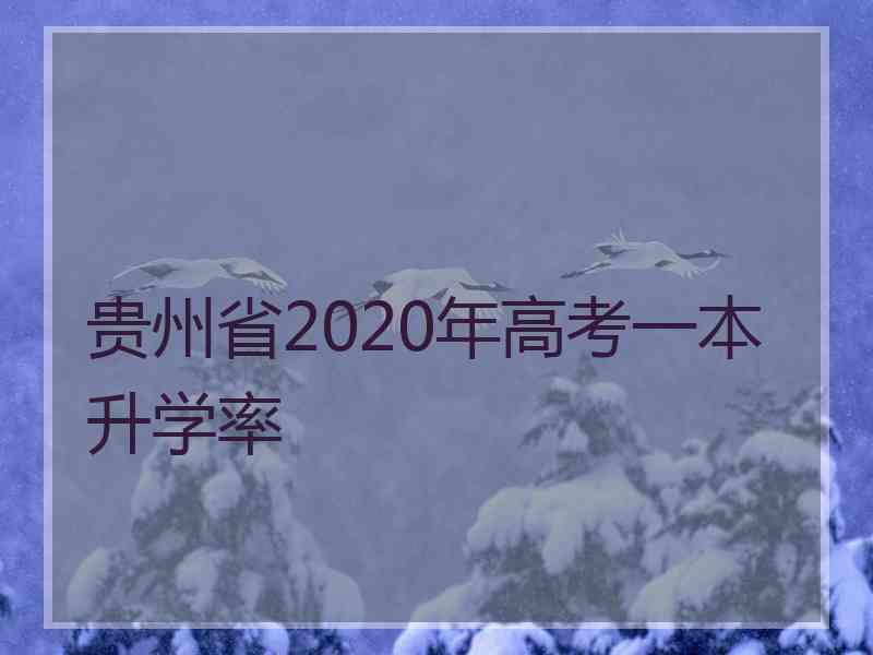 贵州省2020年高考一本升学率