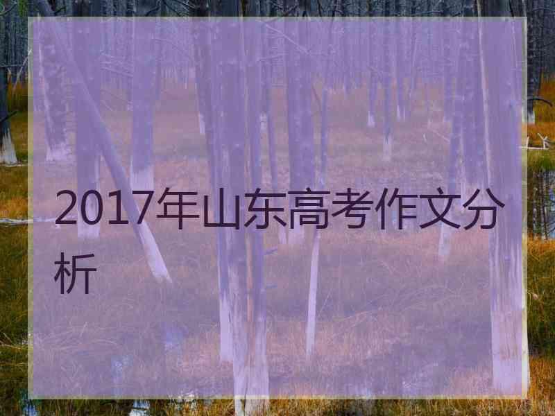 2017年山东高考作文分析