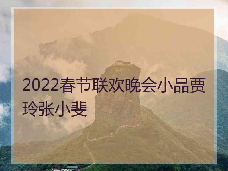 2022春节联欢晚会小品贾玲张小斐