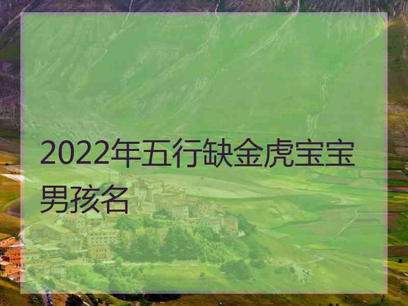 2022年五行缺金虎宝宝男孩名