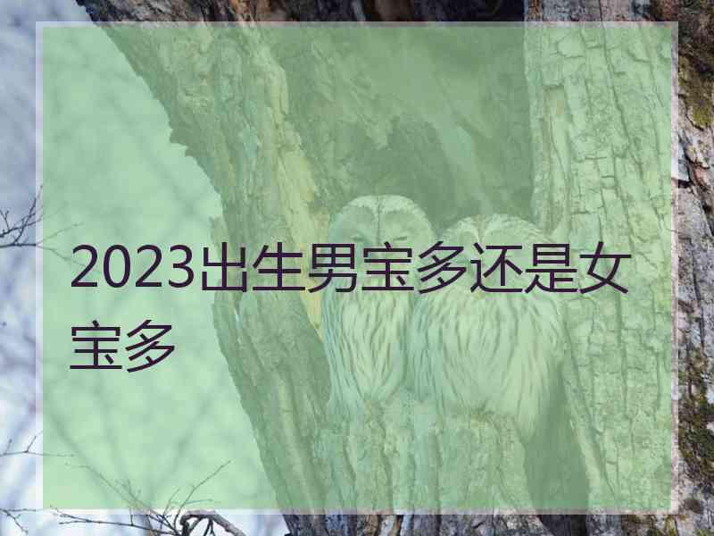 2023出生男宝多还是女宝多