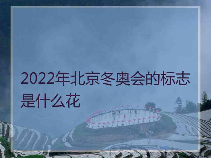 2022年北京冬奥会的标志是什么花