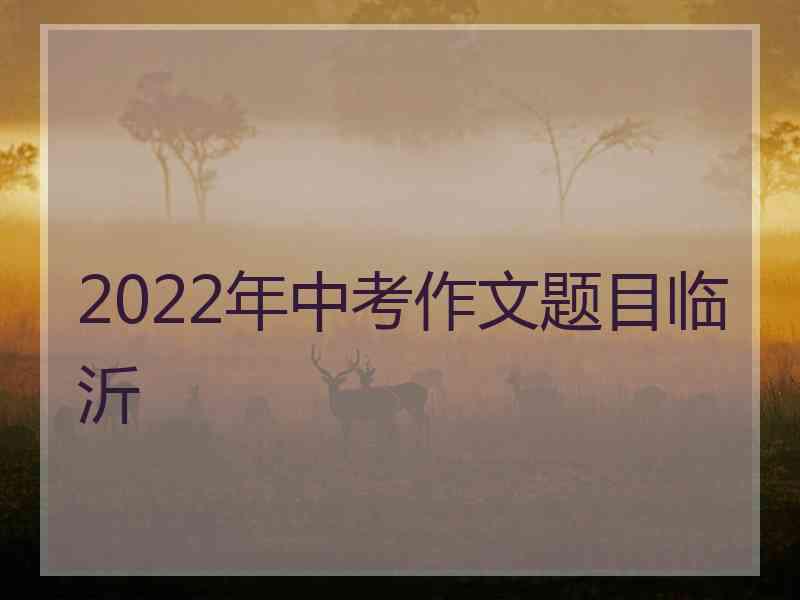 2022年中考作文题目临沂