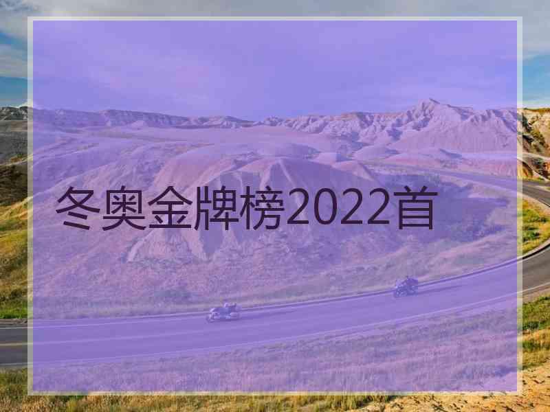 冬奥金牌榜2022首