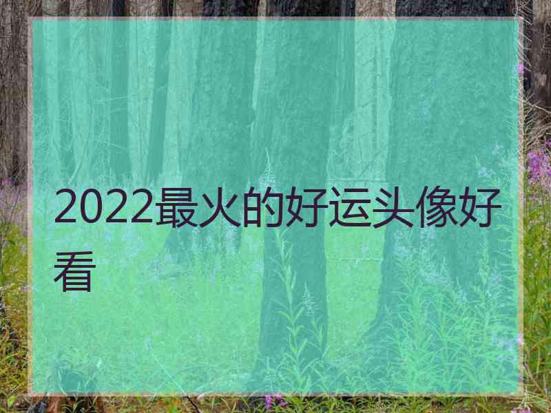 2022最火的好运头像好看