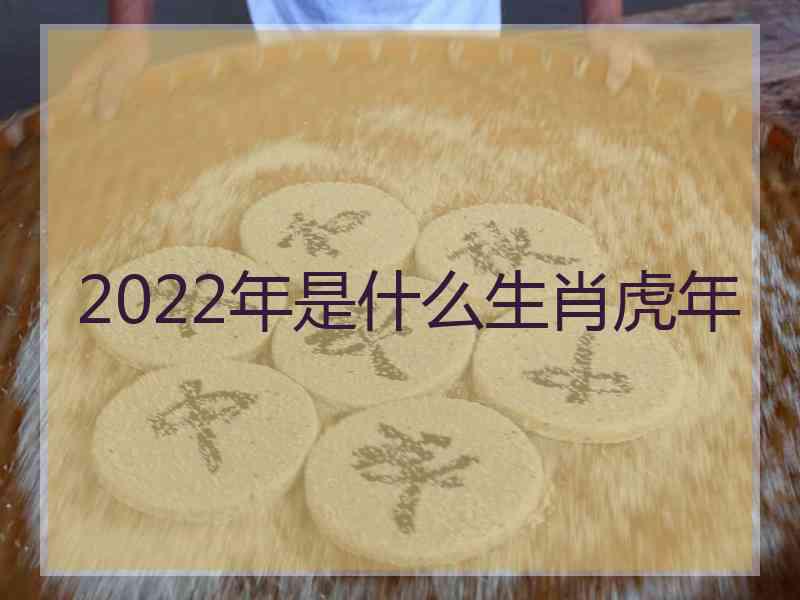 2022年是什么生肖虎年