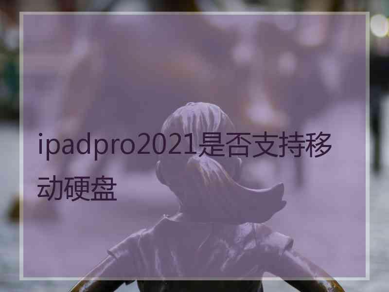 ipadpro2021是否支持移动硬盘