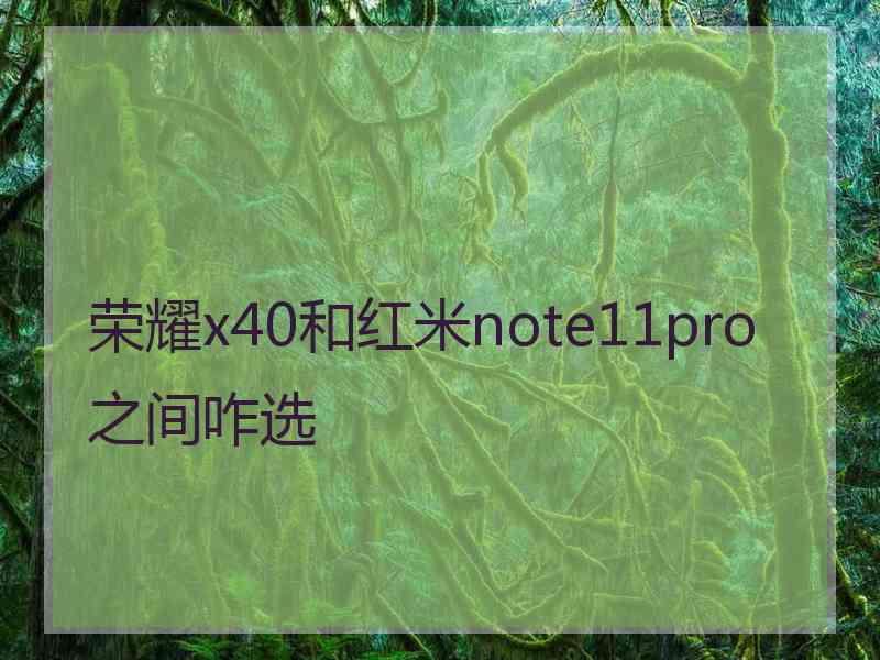 荣耀x40和红米note11pro之间咋选