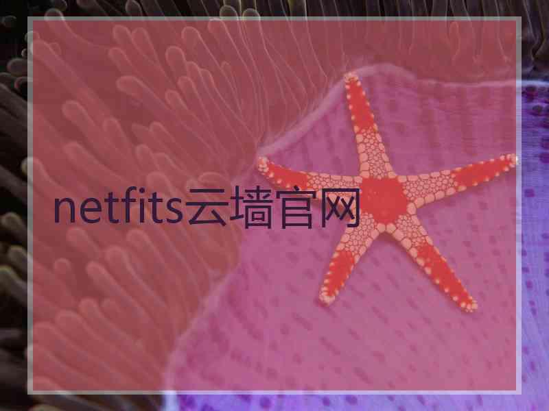 netfits云墙官网