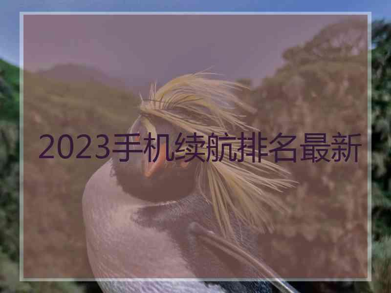 2023手机续航排名最新