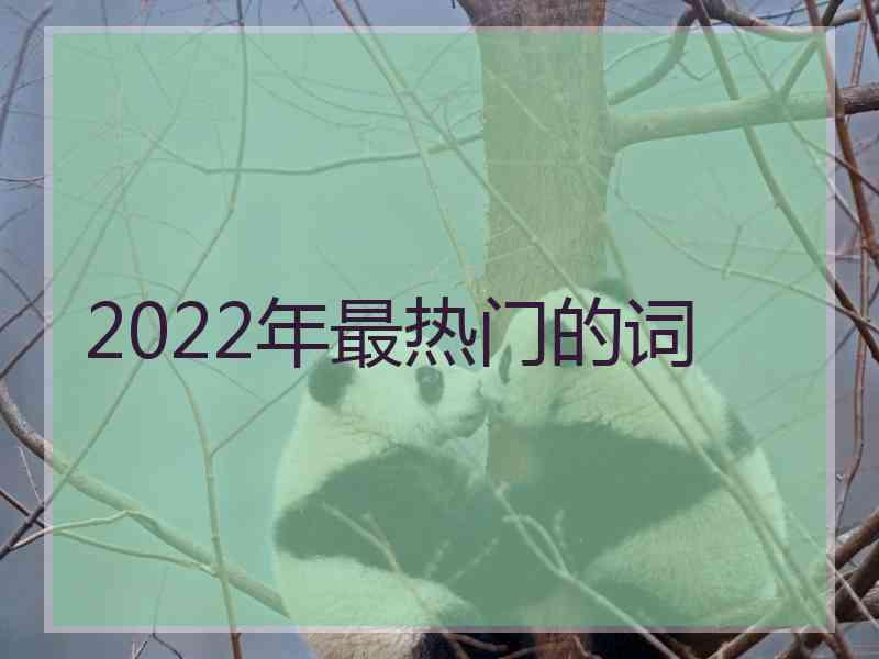 2022年最热门的词