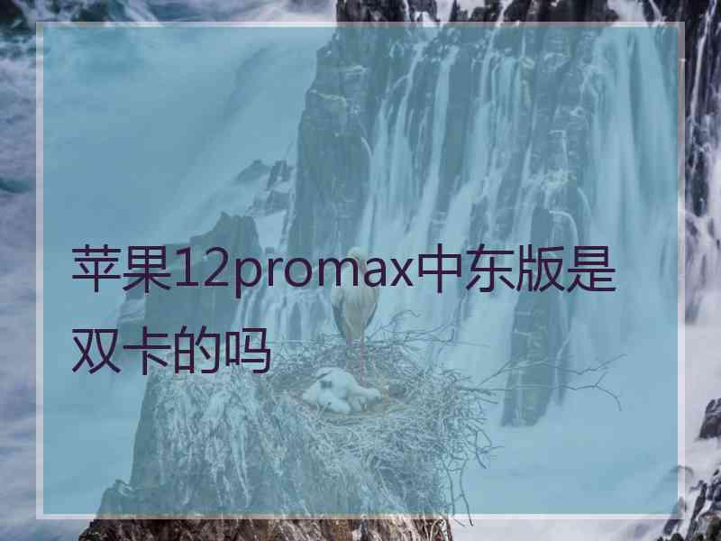 苹果12promax中东版是双卡的吗