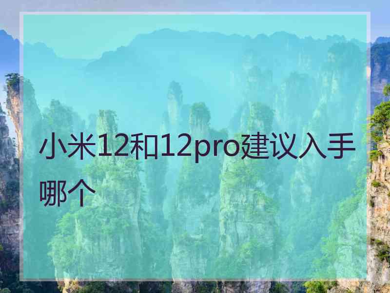 小米12和12pro建议入手哪个