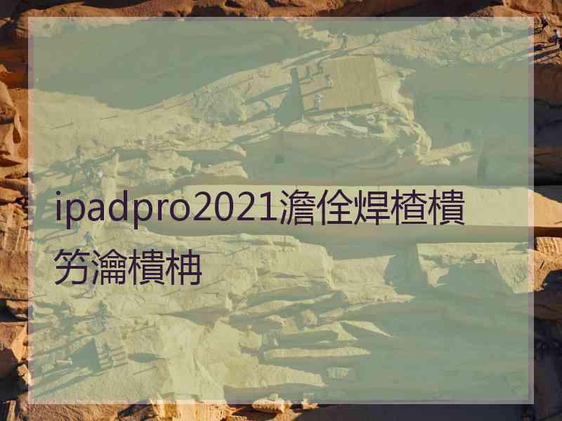 ipadpro2021澹佺焊楂樻竻瀹樻柟