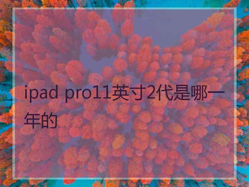 ipad pro11英寸2代是哪一年的