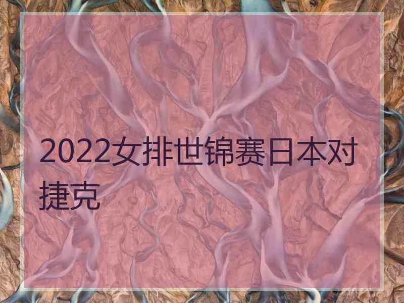 2022女排世锦赛日本对捷克