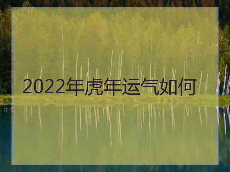 2022年虎年运气如何