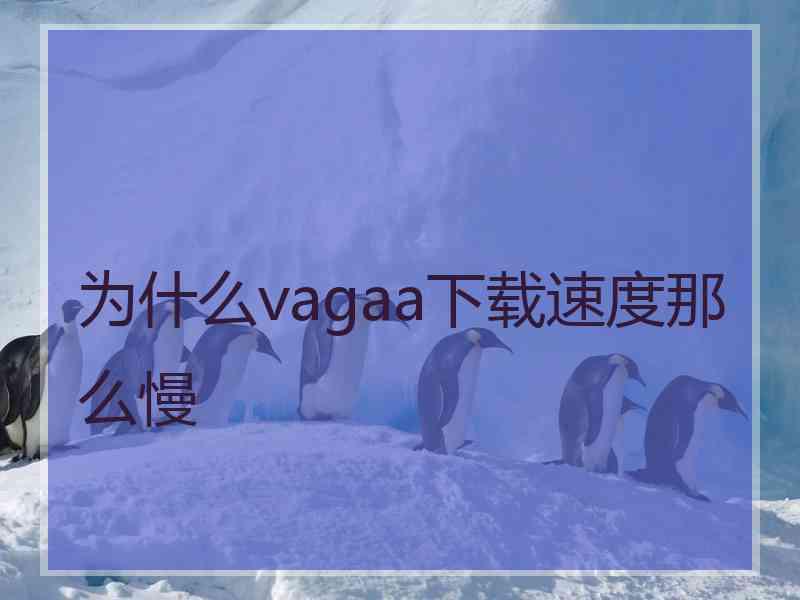 为什么vagaa下载速度那么慢