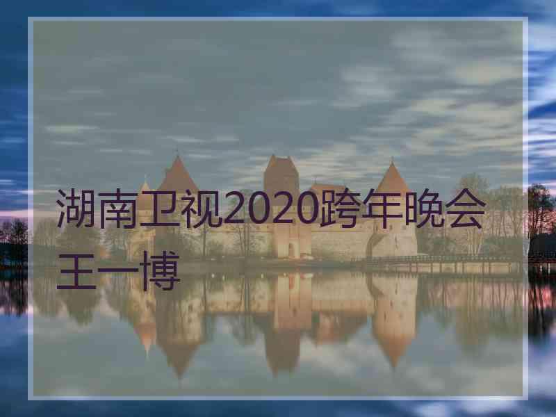 湖南卫视2020跨年晚会王一博