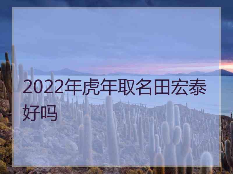 2022年虎年取名田宏泰好吗