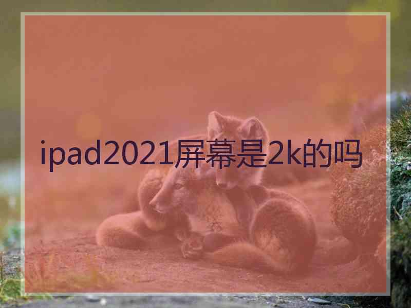 ipad2021屏幕是2k的吗