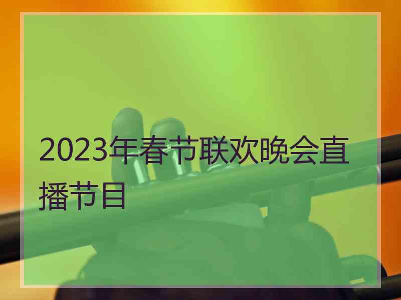 2023年春节联欢晚会直播节目