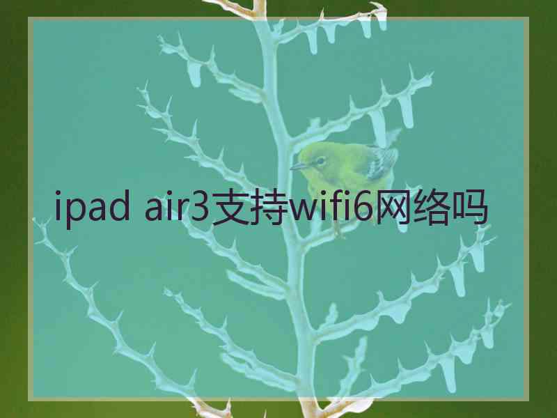 ipad air3支持wifi6网络吗