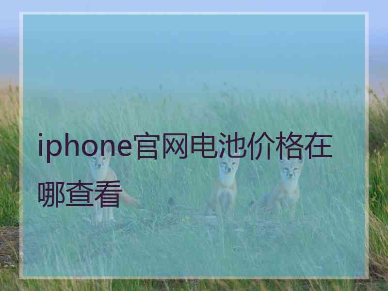 iphone官网电池价格在哪查看