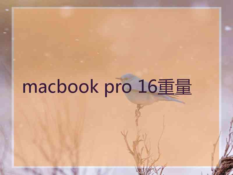 macbook pro 16重量