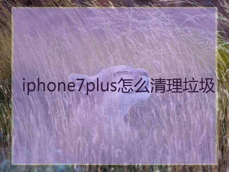 iphone7plus怎么清理垃圾