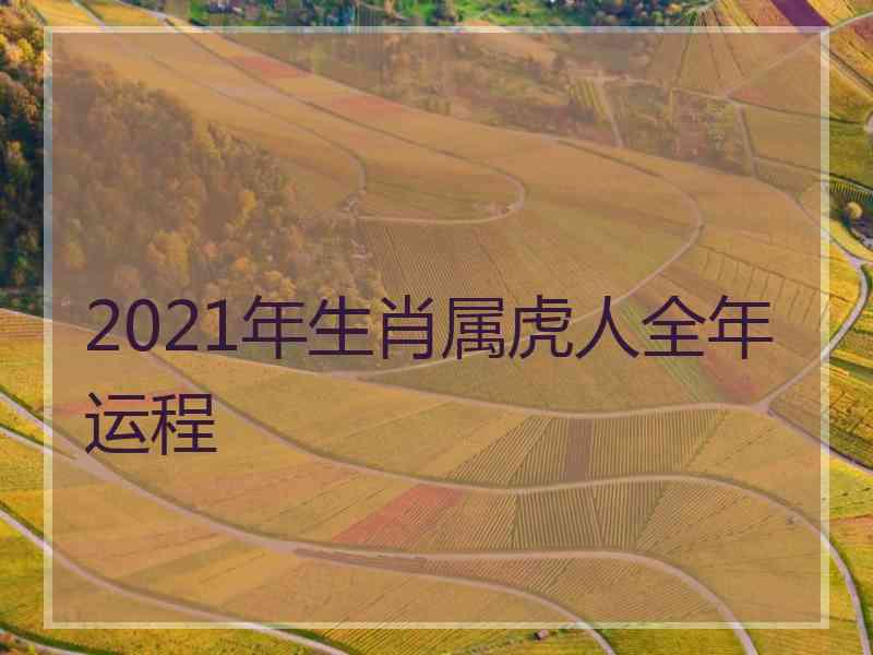 2021年生肖属虎人全年运程