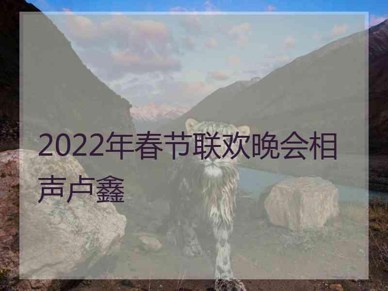 2022年春节联欢晚会相声卢鑫