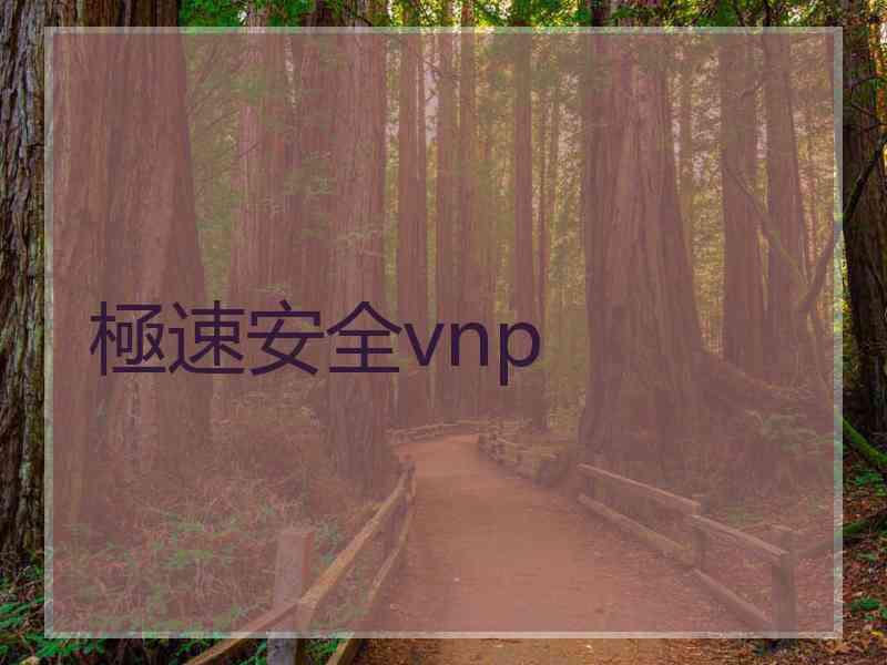 極速安全vnp