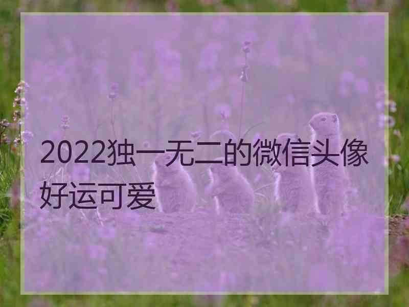 2022独一无二的微信头像好运可爱