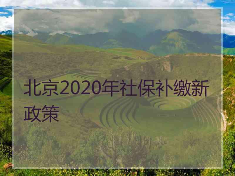 北京2020年社保补缴新政策