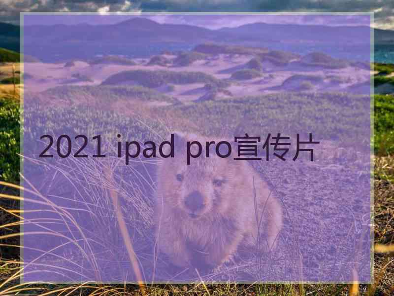 2021 ipad pro宣传片