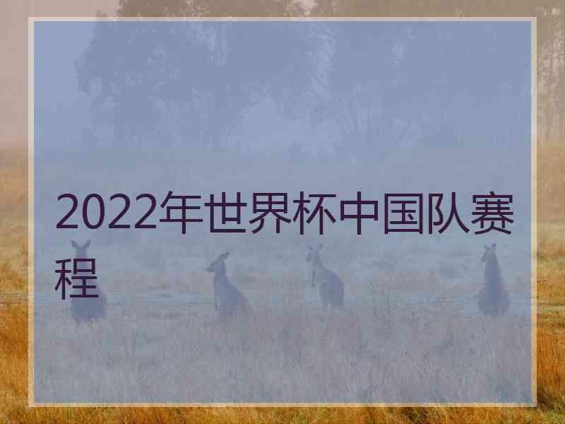 2022年世界杯中国队赛程