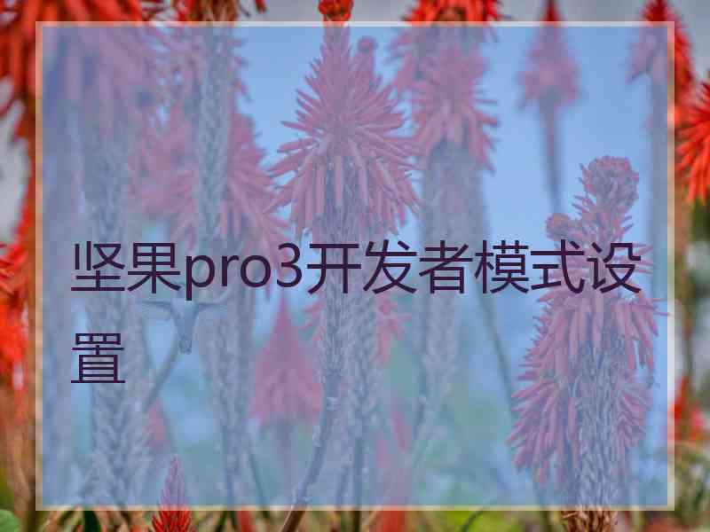 坚果pro3开发者模式设置