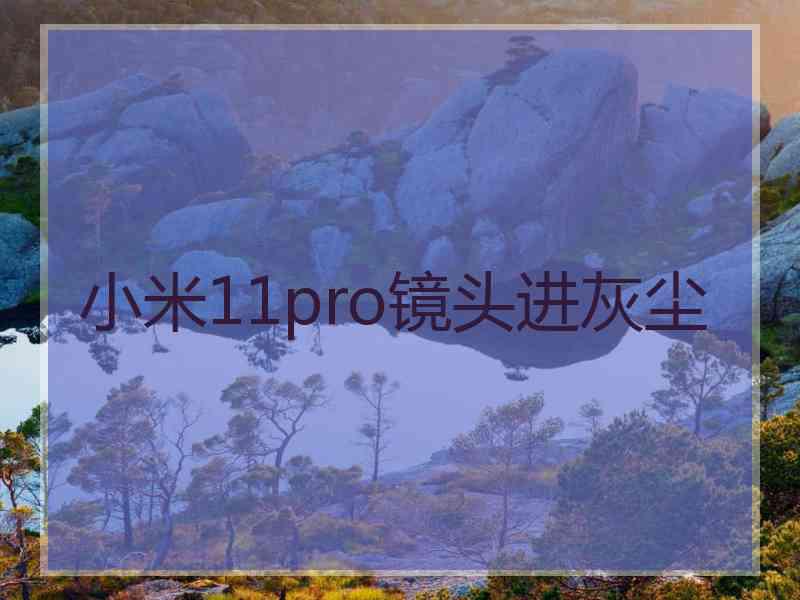 小米11pro镜头进灰尘