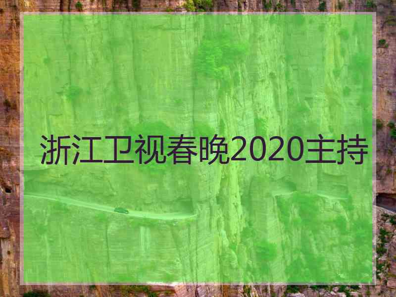 浙江卫视春晚2020主持