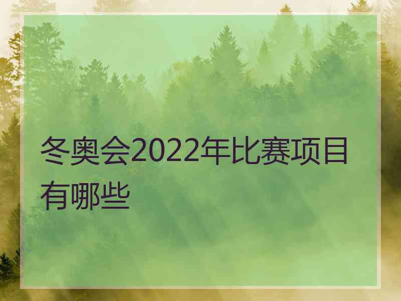 冬奥会2022年比赛项目有哪些