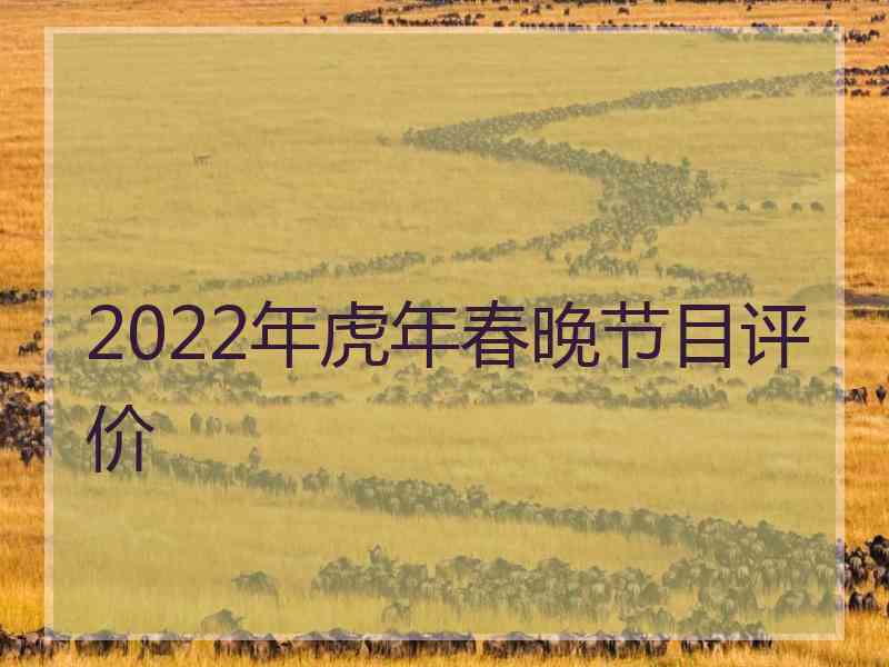 2022年虎年春晚节目评价