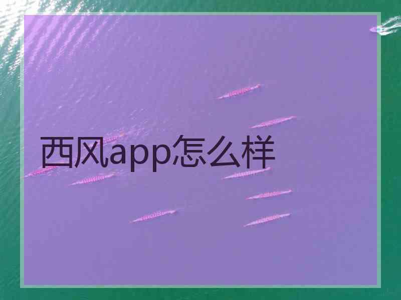 西风app怎么样