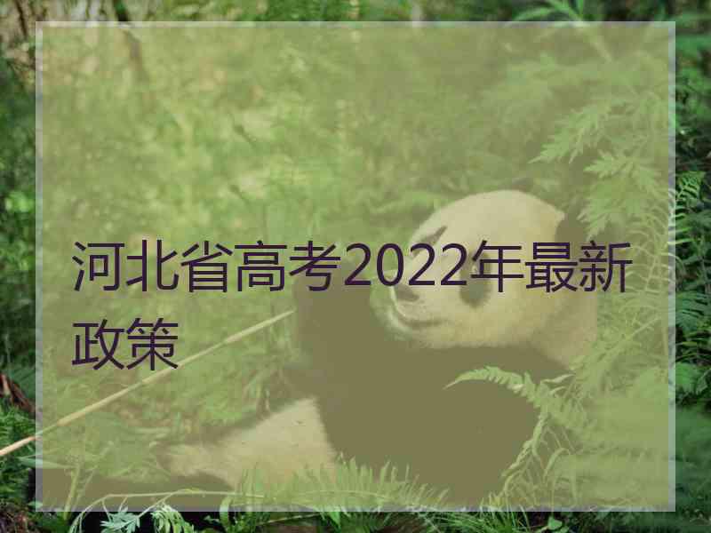 河北省高考2022年最新政策