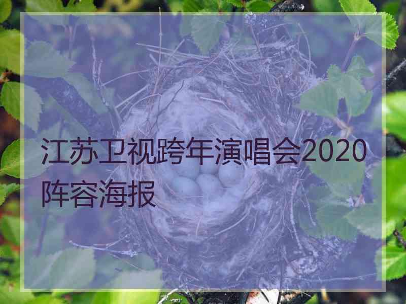 江苏卫视跨年演唱会2020阵容海报